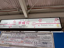 佐倉市内多数