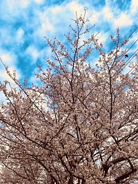 新生活を応援します