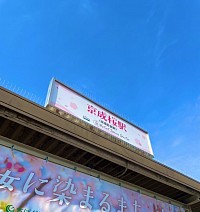 佐倉マラソン、スポーツと音楽について